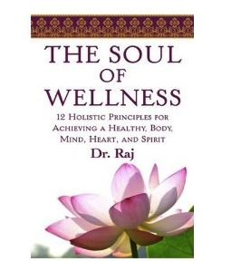 Soul of Wellness book cover