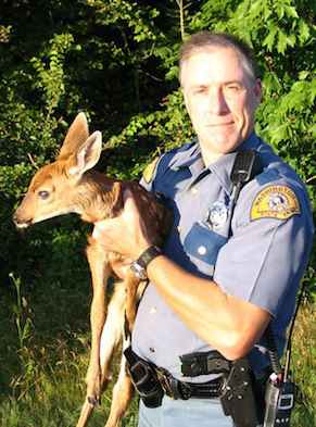 Cop with baby deer Bellingham, WA