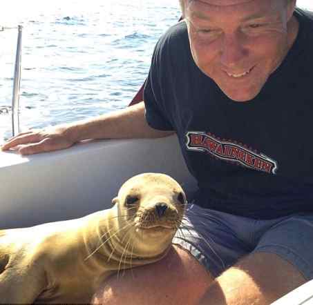 seal boards vessel for cuddle