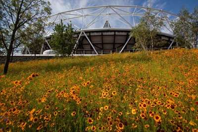 London Olympic stadium flowers