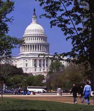 US Capital in Wash, DC - photo by Geri