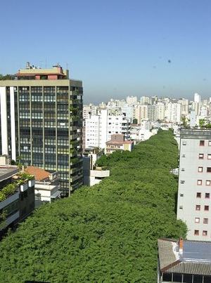 Brazil's tree-lined Rua Gonalo de Carvalho -Photo by clicrbs.com.br