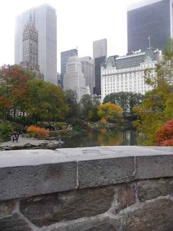 Central Park bridge