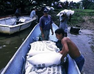 un-emergency-relief-food.jpg