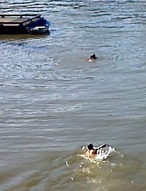 Drowning Man rescue - Willamette River
