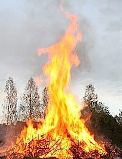 forest-fire-partial-jagberg-morguefile