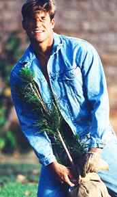 guy-plants-sapling.jpg