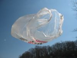 plastic-bag-litter.jpg