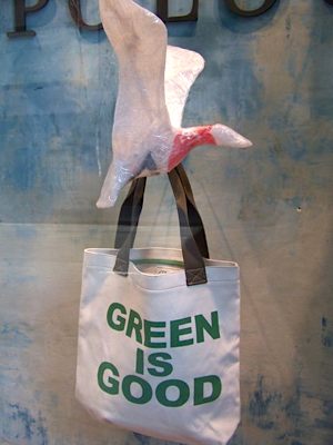 Green is Good and canvas bags too
