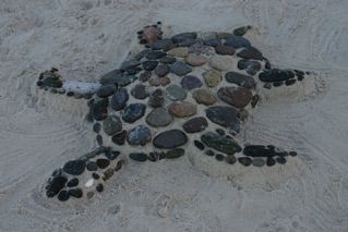 stones turtle.jpg