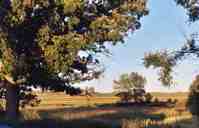 wisconsin-field.jpg