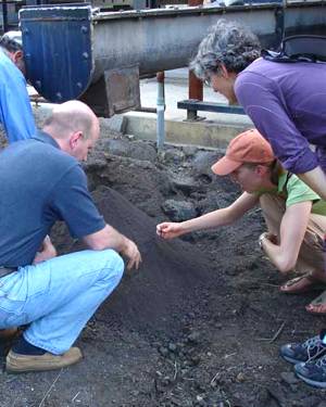 Could Chicken Manure Help Save the World?