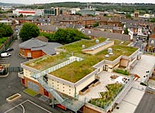 green roof on Sharrow school in the UK