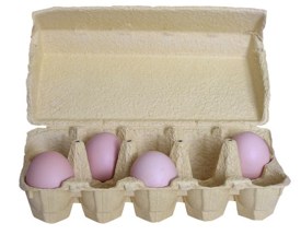 egg-carton-mzacha-morguefile