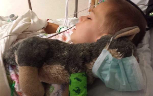 Hospitalized_boy_and_plush_wolf-JoshuaWa