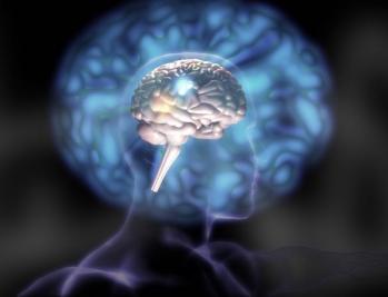 brain-image.jpg