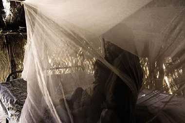 mosquito-net-by-who.jpg