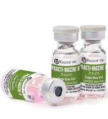 vaccine jars vaccine-jars.jpg