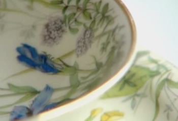 Dishes returned to holocaust survivor 