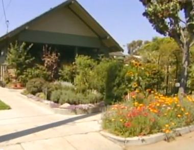 Farming home in suburbia -ABC video snapshot