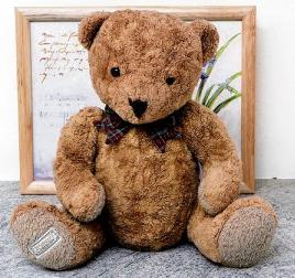 Teddy bear flown home by caring airline