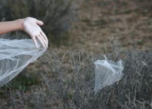 floating veil