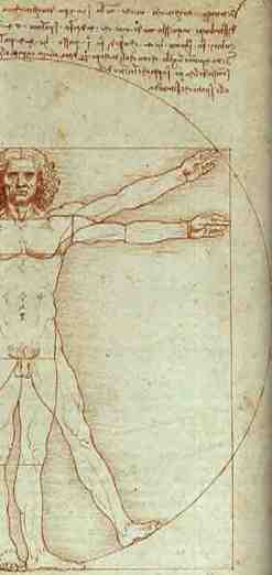 davinci-drawing.jpg