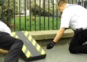 secret-service-helps-ducklings