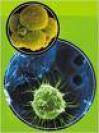 Breakthrough Gene Treatment Banishes the Darkness