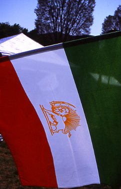 palestinianflag.jpg