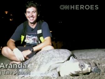 turtle-patrol-hero-cnnvideo