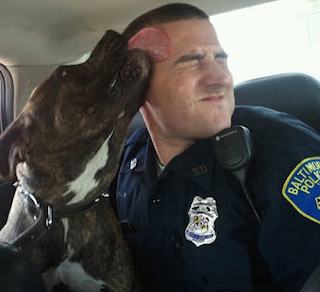 Dog licking police officer - familyphoto