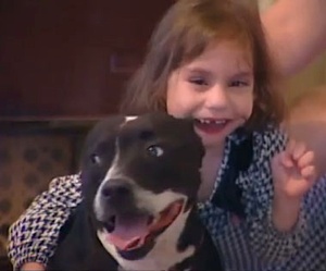 Girl gets therapy dog back - KSNVideo