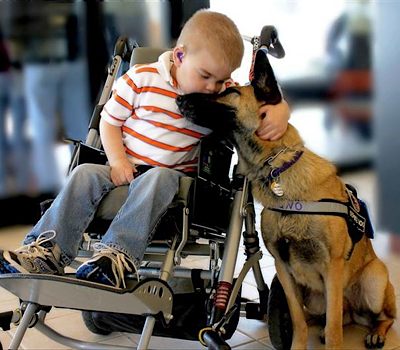 NA Pet Blog - heartwarming animal stories 2012