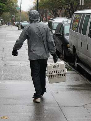 carrier man in rain