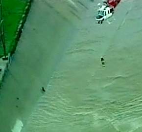 dog-rescue-calif-flood.jpg