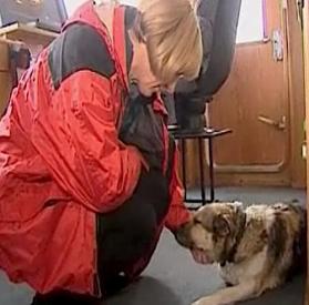 dog-rescue-in-baltic.jpg