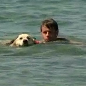 doggie lifeguards in action, from NBC video