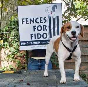 Fences For Fido photo 