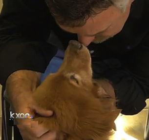 golden retriever survives-KXAN snapshot