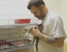 Imprisoned Felons Help Care for Unwanted Cats (Video)