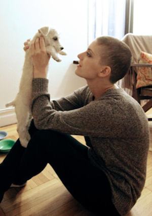 puppy as cancer therapy -Suleika Jaouad FB photo