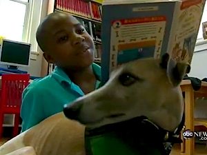 ABC news video shows reading to dogs