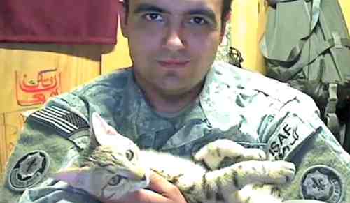 soldier Jesse Knott with feral Afghan cat