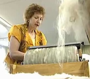 Felt Maker, Lisa, WSLS video