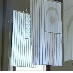 Peace Project Displays Flags of Every Nation Rendered All in White
