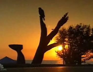 katrina tree sculpture