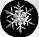 snowflake by bentley