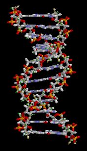 dna