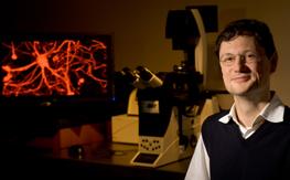 stanford-scientist-neuron-screen.jpg